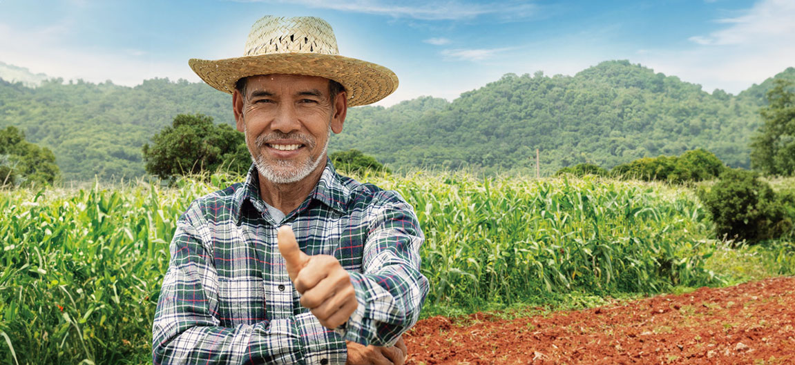 Guía de proveedores